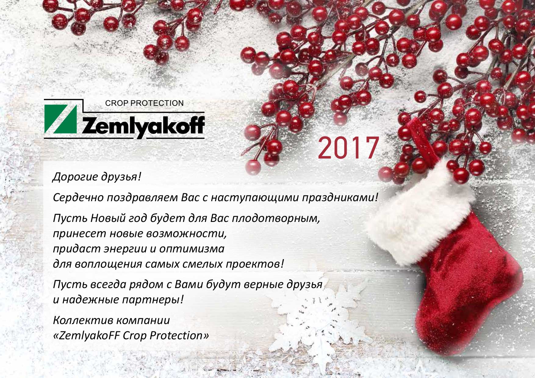 ny_2017_zemlyakoff-rus