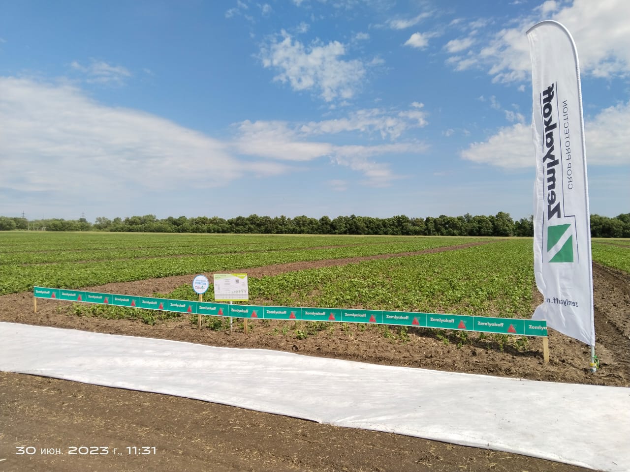 На Агрополигоне «Приволжье» представили систему комплексной защиты зерновых колосовых и сои ZemlyakoFF