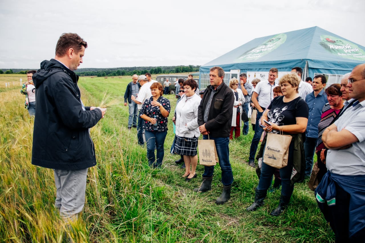 В Ярославской области аграриям представили комплексную защиту посевов пивоваренного ячменя препаратами ZemlyakoFF