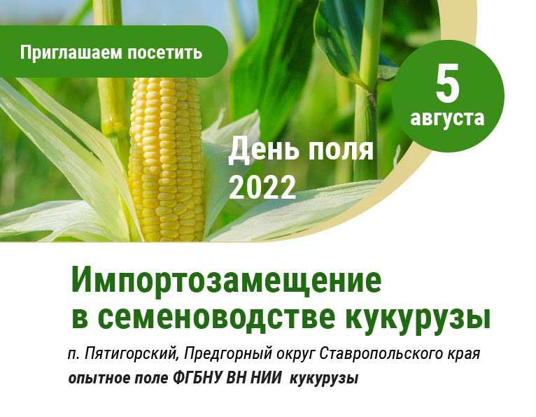 День поля 2022: "Импортозамещение в семеноводстве кукурузы"