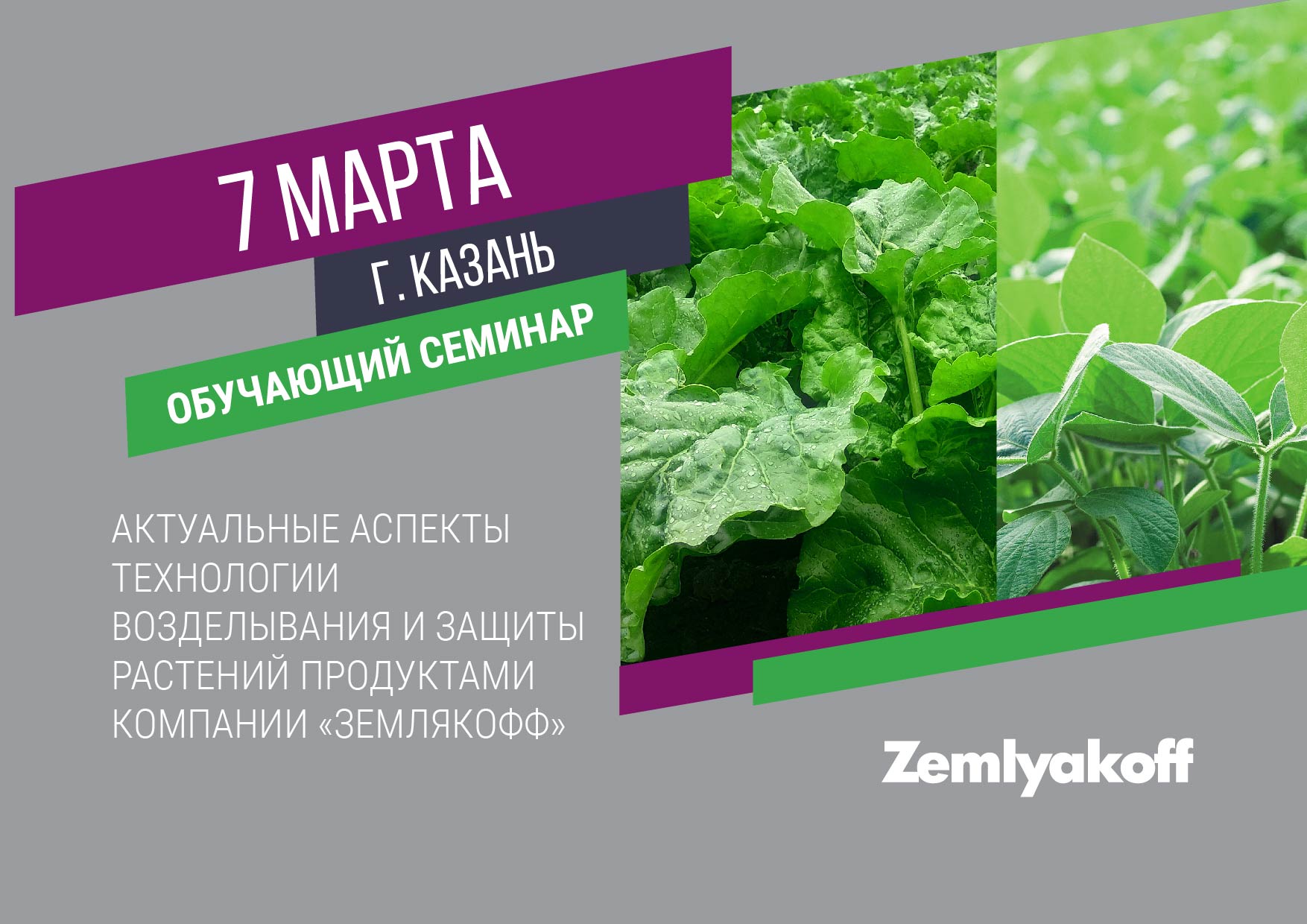 Семинар по защите растений в Республике Татарстан
