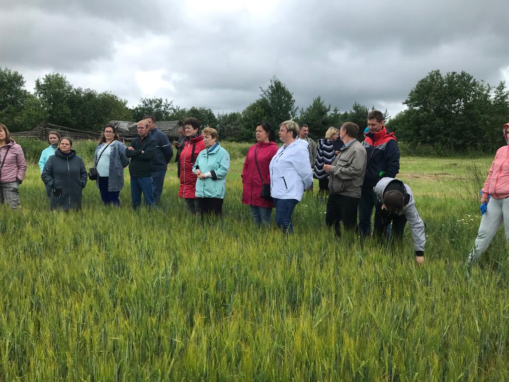  В Вологодской области на полевом семинаре представили комплексные решения для защиты сельхозкультур от ZemlyakoFF