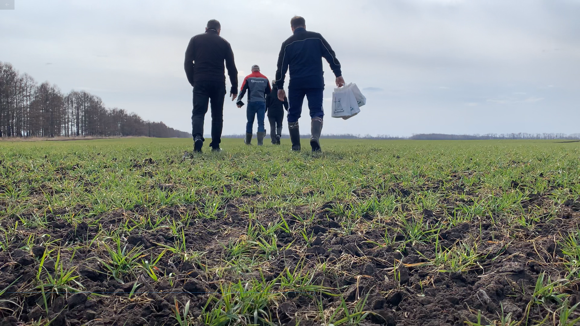 Комплексное обследование полей озимой пшеницы в Ульяновской и Самарской областях провели сотрудники компании ZemlyakoFF