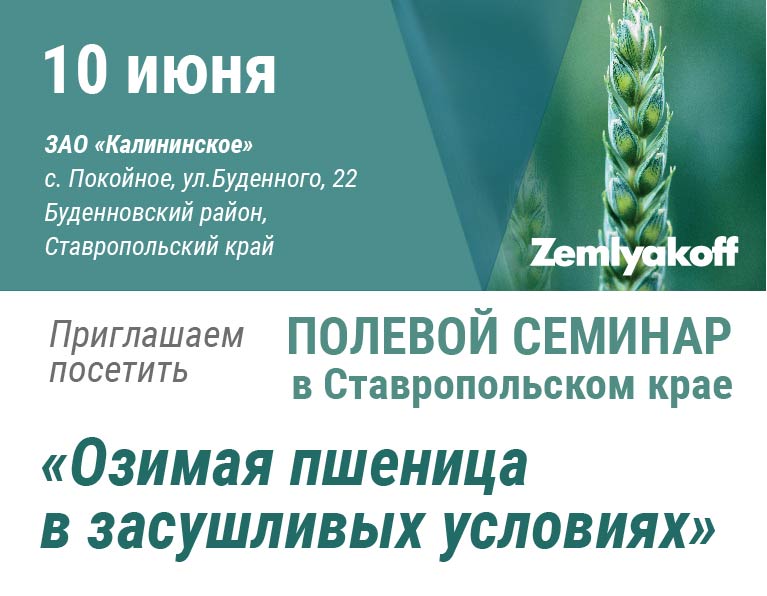 Полевой семинар по защите озимой пшенице в Ставропольском крае